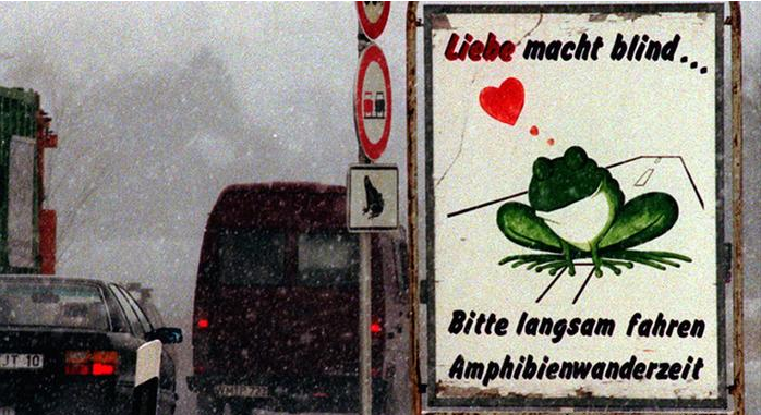 德语学习；德语培训