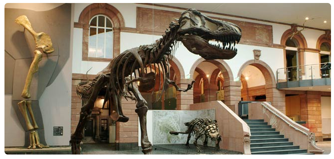 辰品外语，成都德语培训