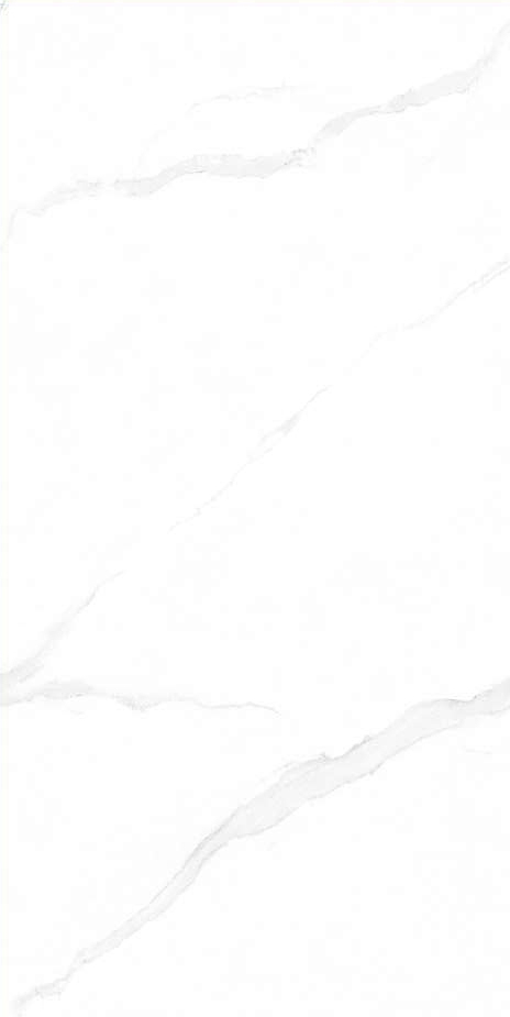 48LW101