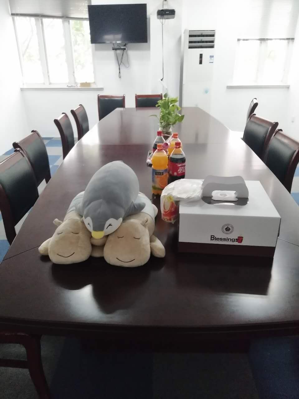 上海伊贝莎欢迎您! 上海伊贝莎欢迎您!