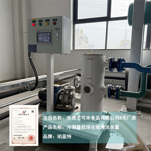 全自动胶球冷凝器清洗系统厂家
