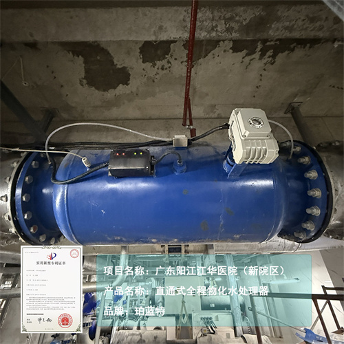 直通式物化全程水处理器