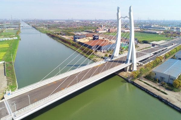 奉贤区民乐路（奉炮公路-浦星公路）道路新建工程