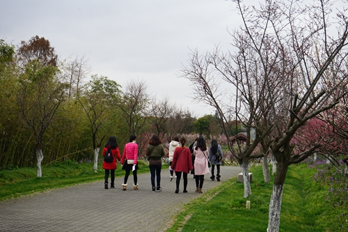 DSC02054_副本.jpg