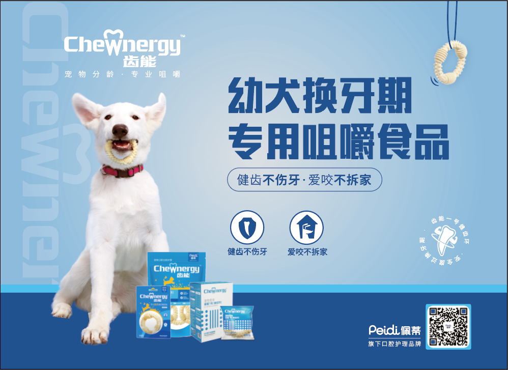 佩蒂股份董事长陈振标：宠物医疗“防治”时代新机遇