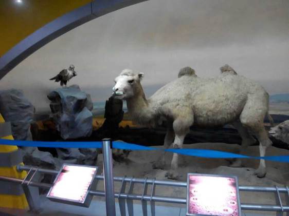 甘肃展馆