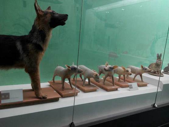 甘肃展馆