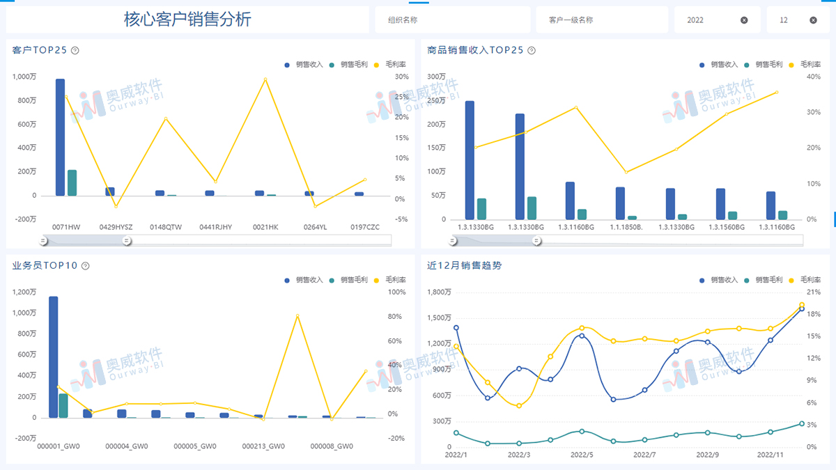 奥威-金蝶BI数据分析