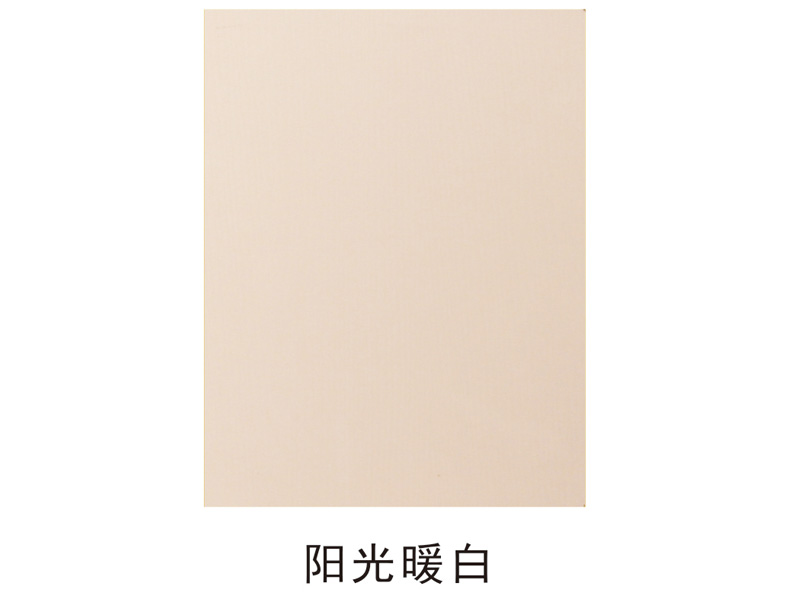 柜体门板02