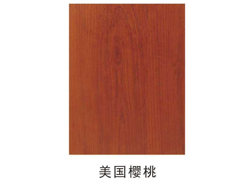 柜体门板03