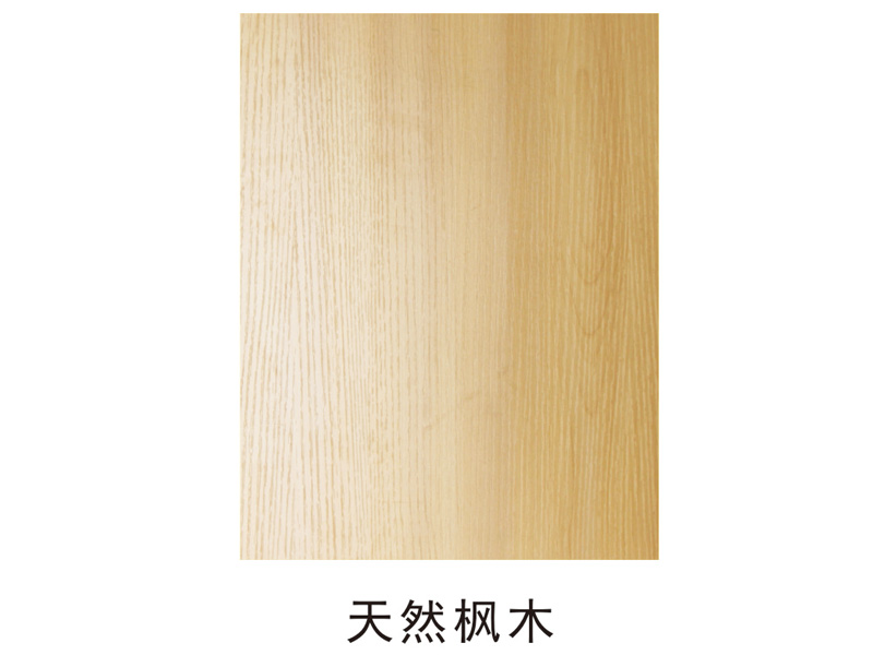 柜体门板04