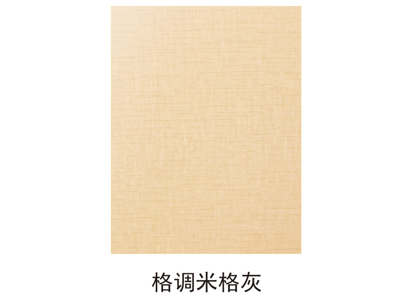 柜体门板05