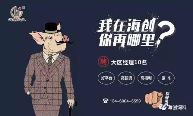 拉斯维加斯官方网站-(中国)有限公司
