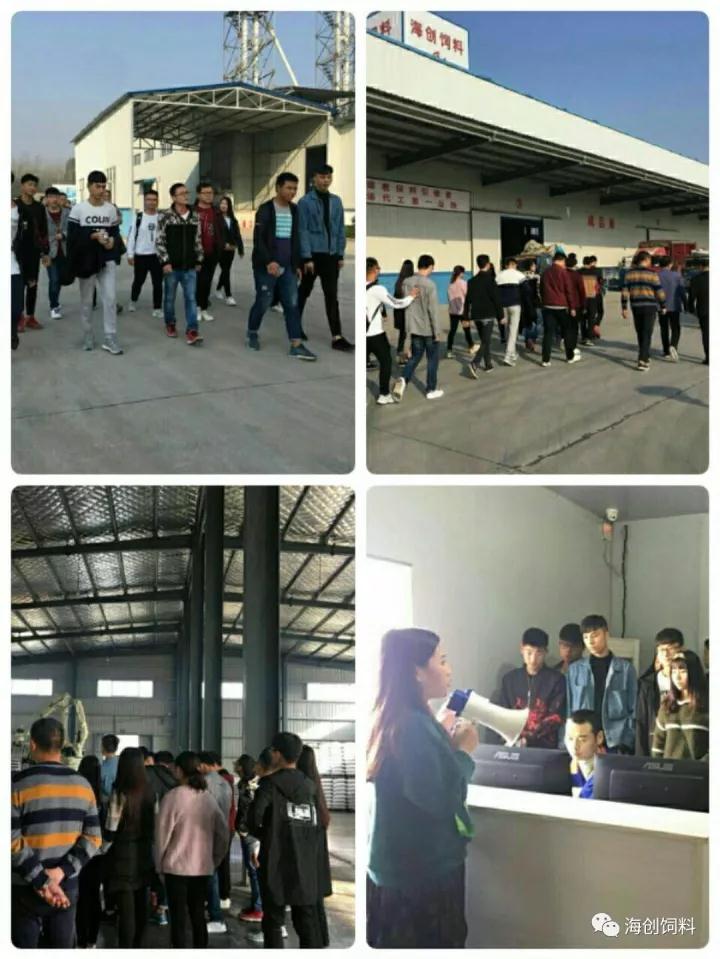 拉斯维加斯官方网站-(中国)有限公司
