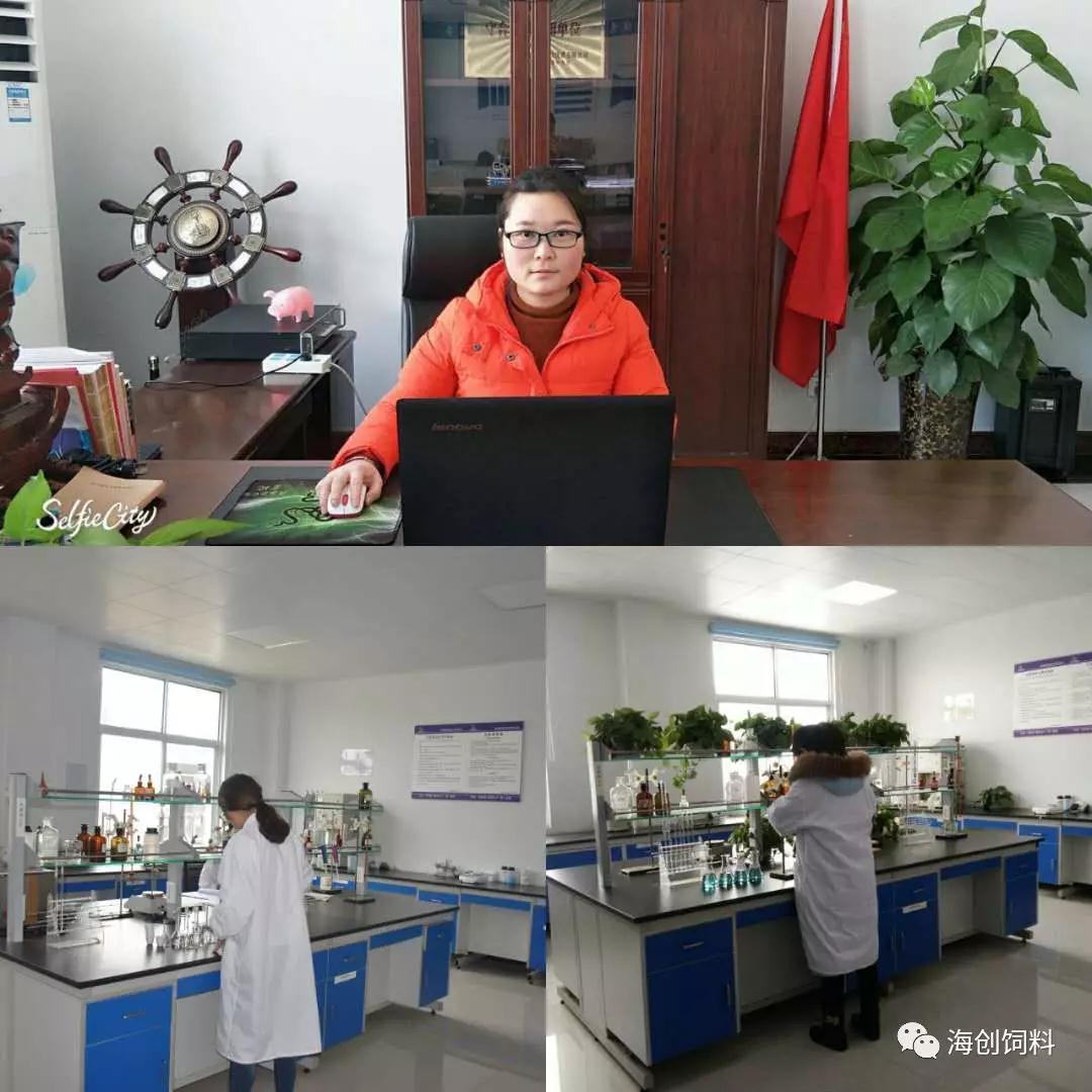 拉斯维加斯官方网站-(中国)有限公司