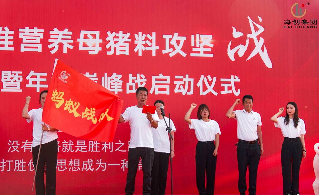 蚂蚁战队(1).jpg