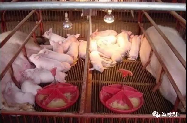 拉斯维加斯官方网站-(中国)有限公司
