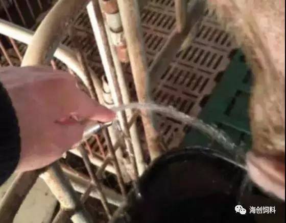抖圈-为du而生官网入口