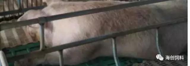 抖圈-为du而生官网入口