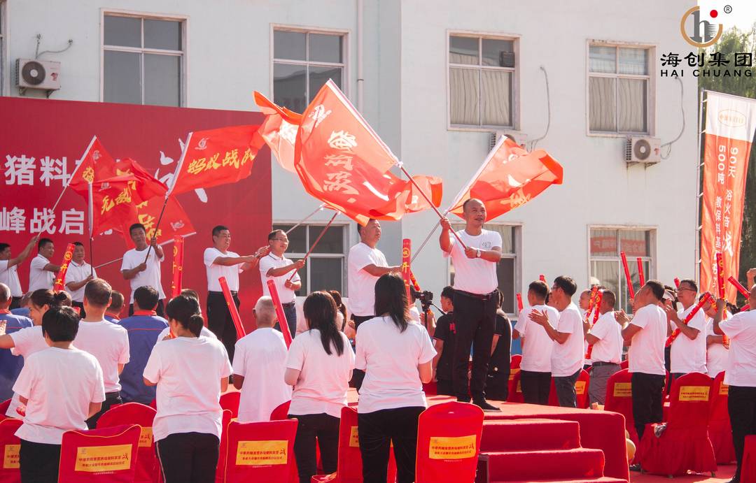 挥旗 (2)(1).jpg