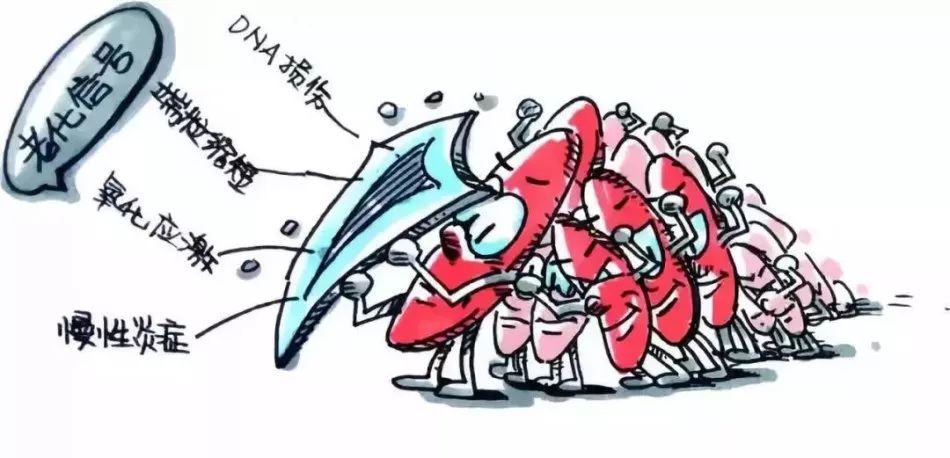 每五人中就有一人被甲状腺结节“选中”！免疫细胞疗法成破局关键