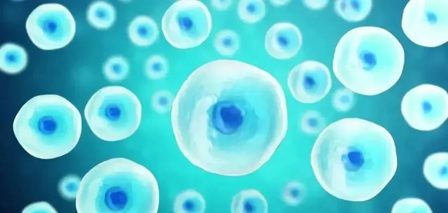 央视重磅提出！告别关节疼痛！干细胞让“磨坏”的关节恢复，关节炎治疗困局新通路