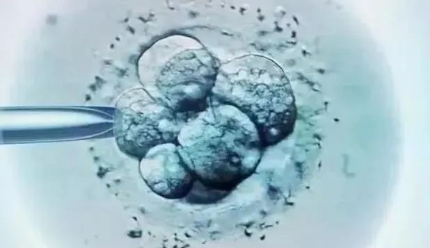 追根溯源：所有的病痛，都始于细胞的一次“故障