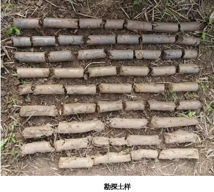 勘探