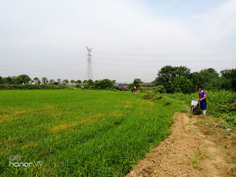 王震祖坟风水考察