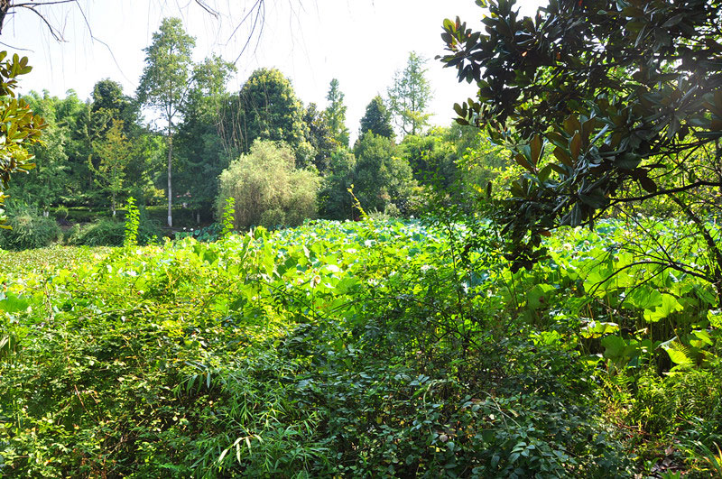 邓小平的父亲邓绍昌墓风水