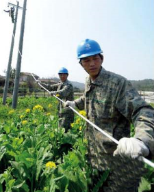 新增农网改造项目