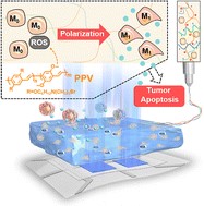 2023-03-22 课题组杨智文同学论文被《Materials Horizons》接收