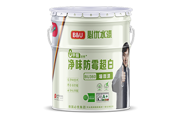 凈味防霉超白·360墻面漆