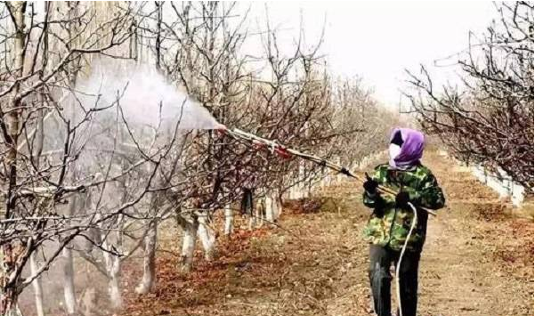 大棚保温被