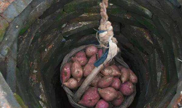 大棚保温被