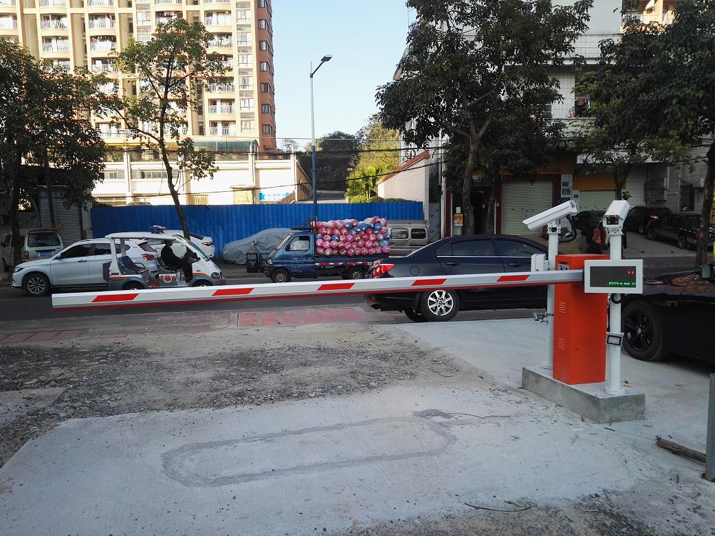 广州宏基果蔬种植基地