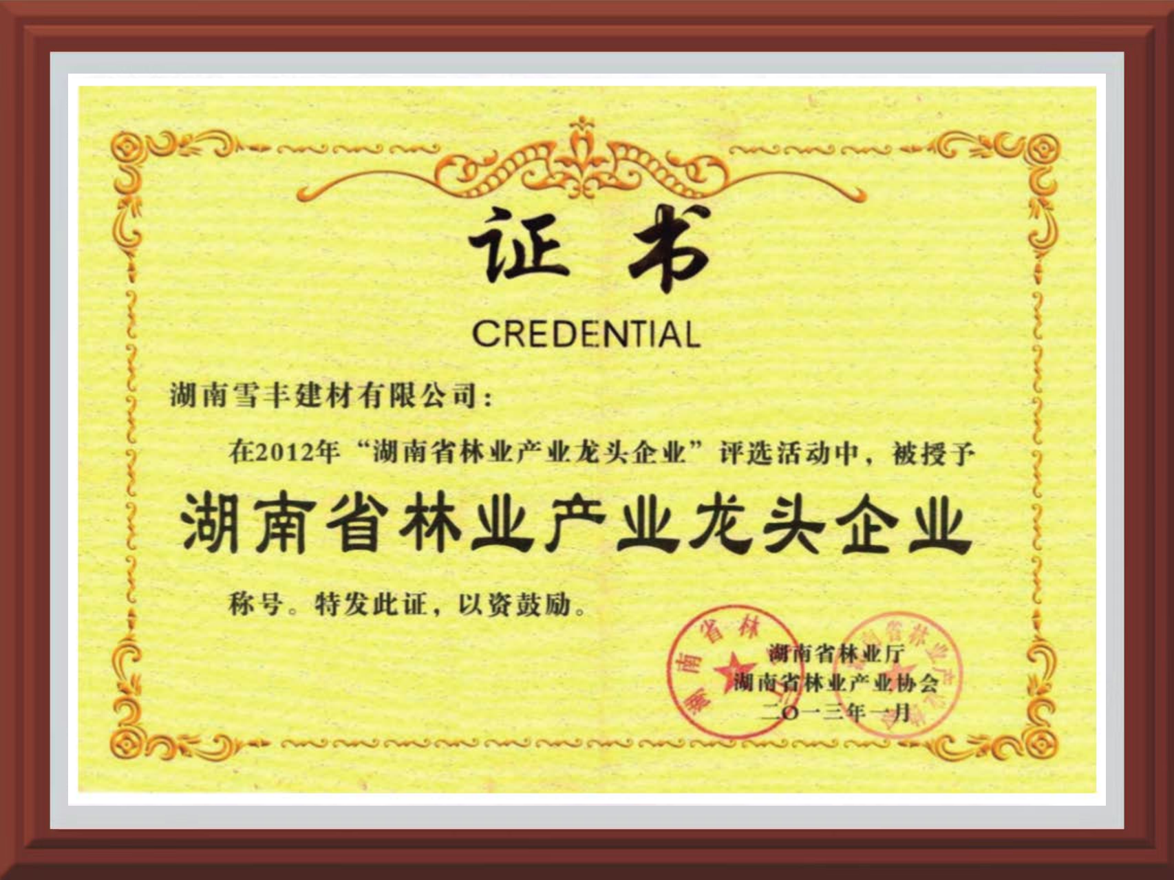 龙头企业证书