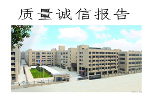 质量诚信报告