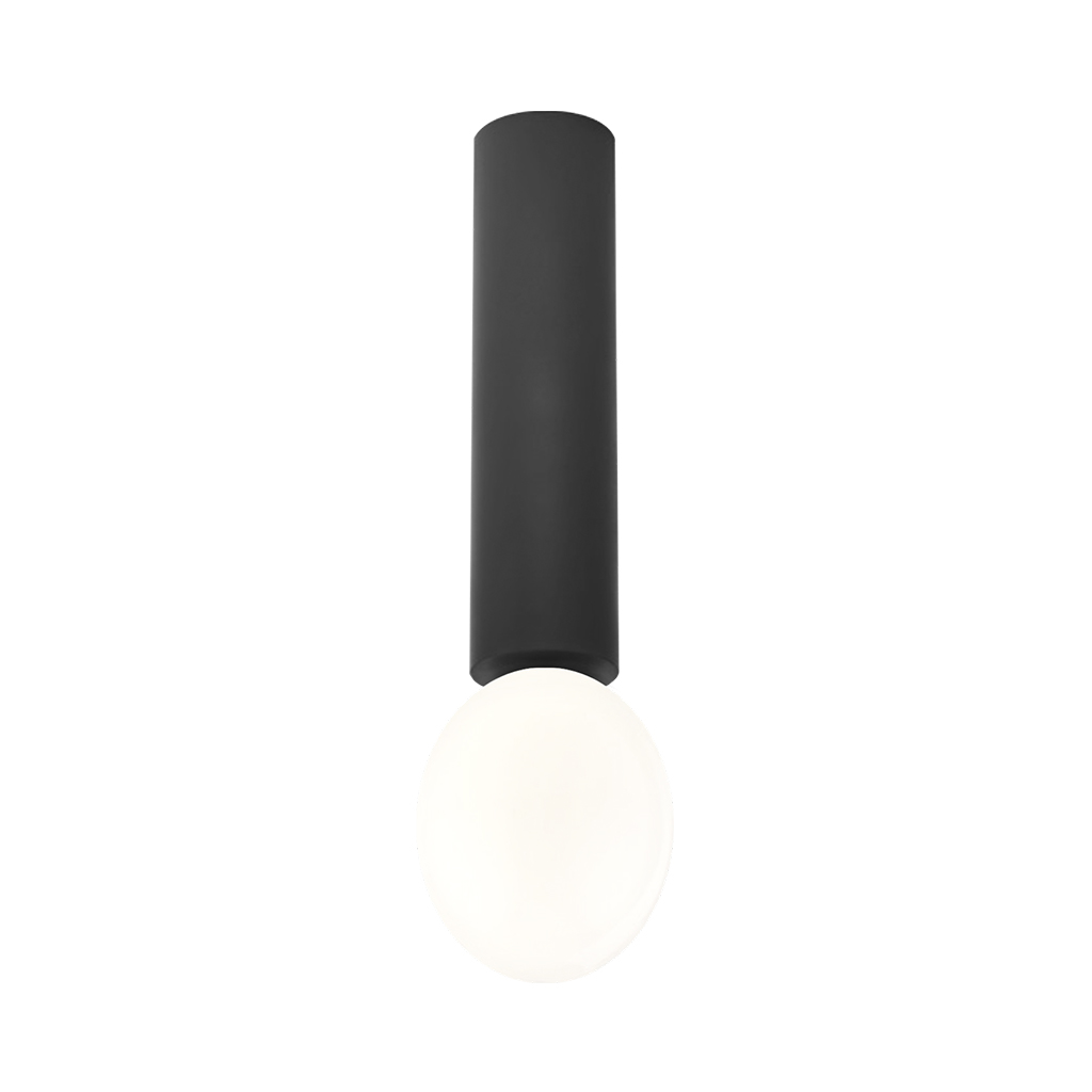 Modern IP44 Oval Glass Interior Decoration Ceiling Light 2261