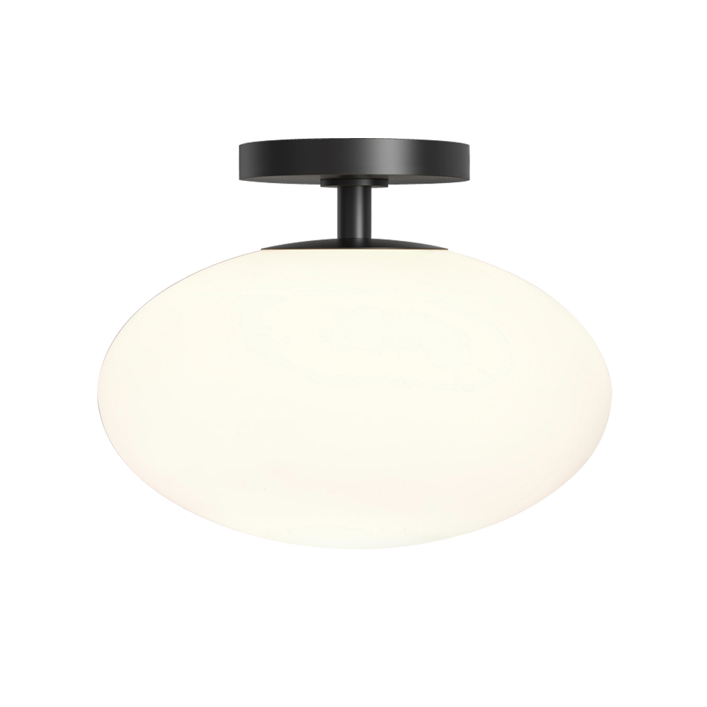 IP44 Big Oval Glass Lampshade LED Wall Mounted Ceiling Mounted Light 2273