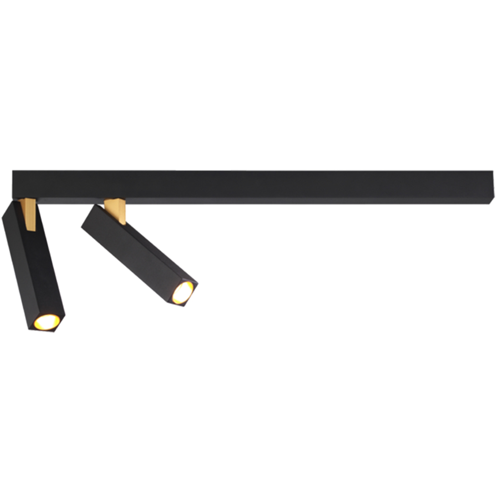 Two Head Rotatable LED Spotlight Ceiling Mounted Wall Mounted Adjustable DownLight 2486