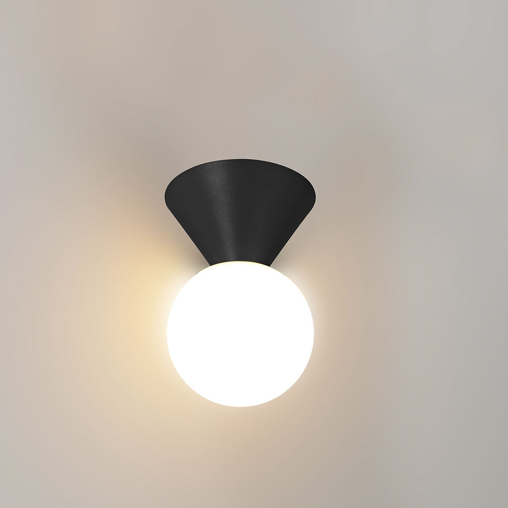 Matt Black Small Round Glass Shape Wall Lamp IP44 LED Ceiling Lamp 2511