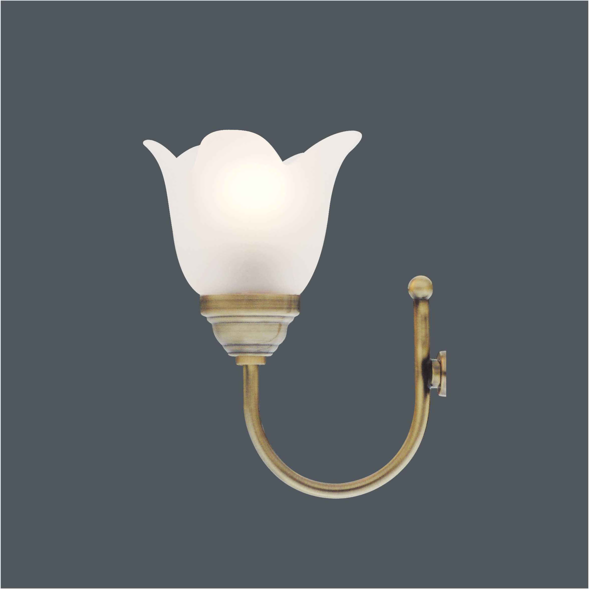 IP23 Flower Shape Glass Lampshade Antique E14 LED Bathroom Wall Light 6599