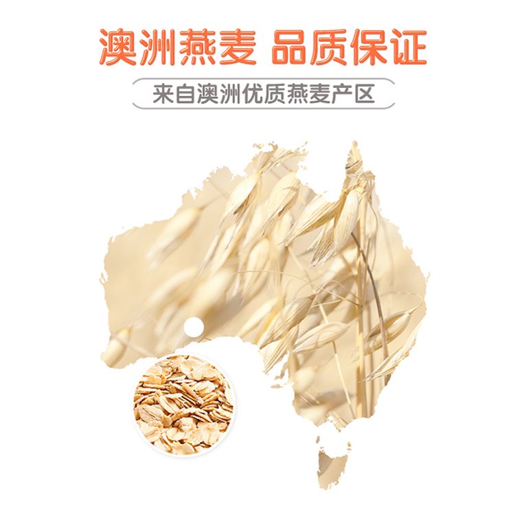 西麦每日燕麦-多种水果燕麦脆630g