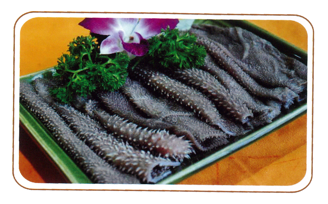 生態(tài)毛肚