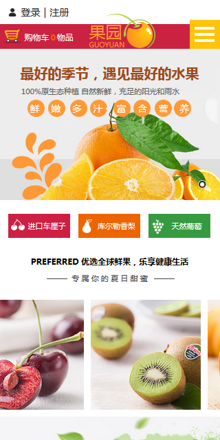 云网站模板 6551