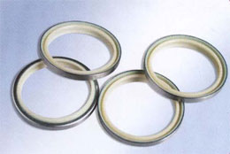 聚氨指骨架防尘封 DKBI