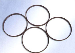 聚甲醛支承环 FR