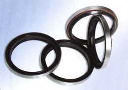 橡胶骨架油封 DKB