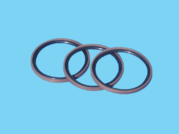 二组合密封(格来圈) SPGO